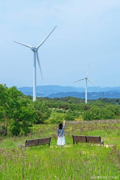 경주 풍력발전(바람의언덕)