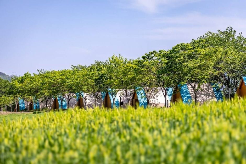 순천_정원워케이션 (3)