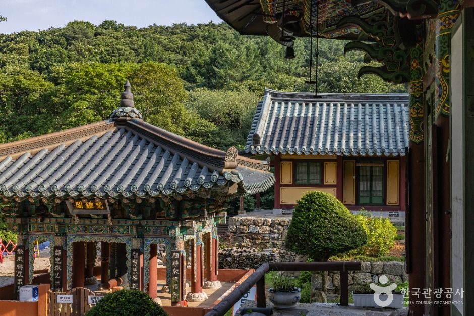 백련사(강화)