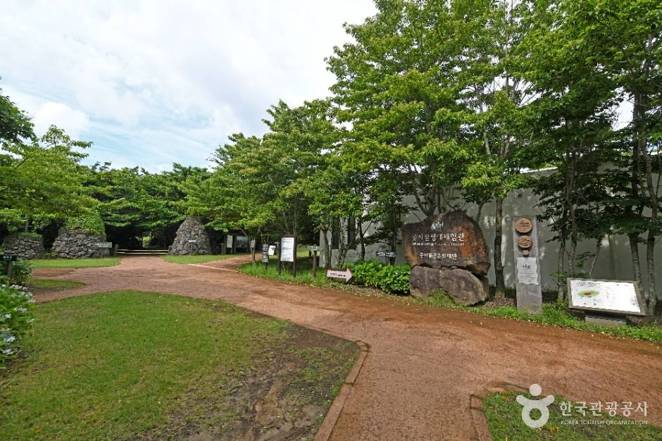 제주 교래자연휴양림