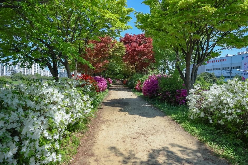 [서울둘레길 13코스] 안양천 상류코스