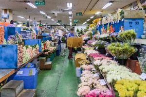서울_고속터미널 꽃도매상가 (3)