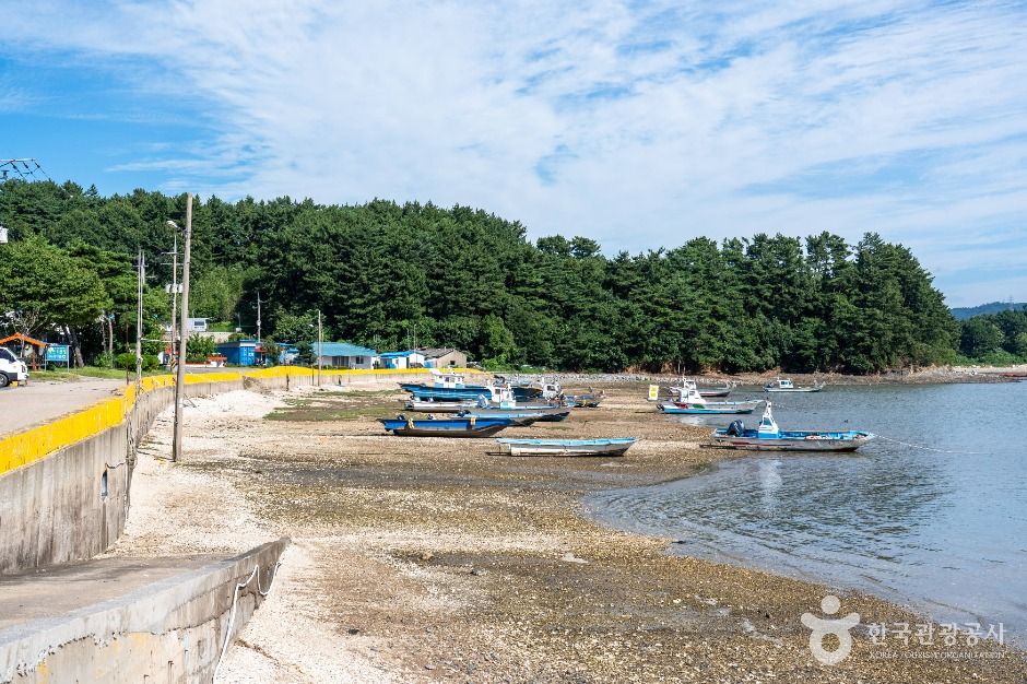 왕산포구