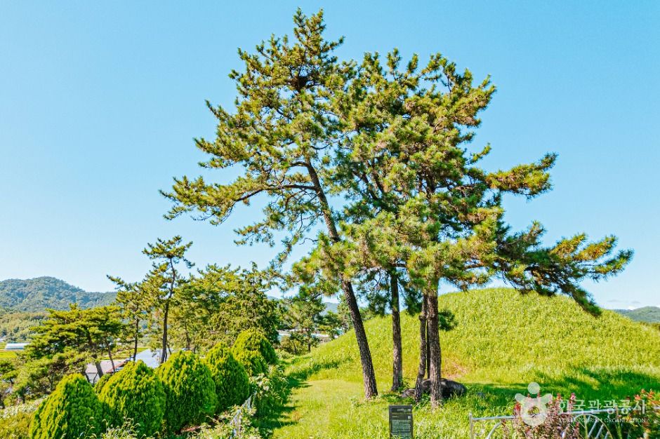 함평_함평예덕리고분군 (5)