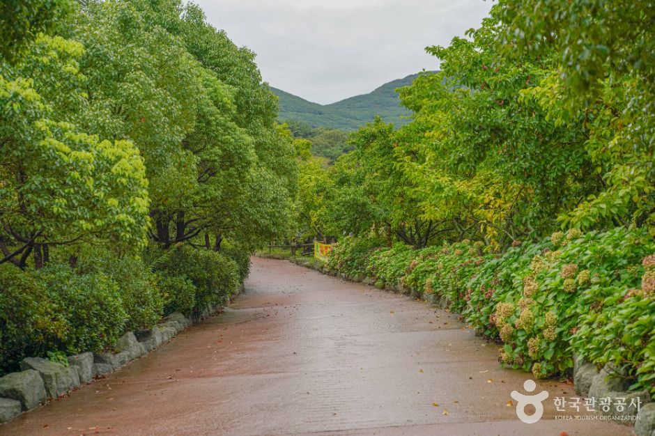 thumbnail-완도수목원-20