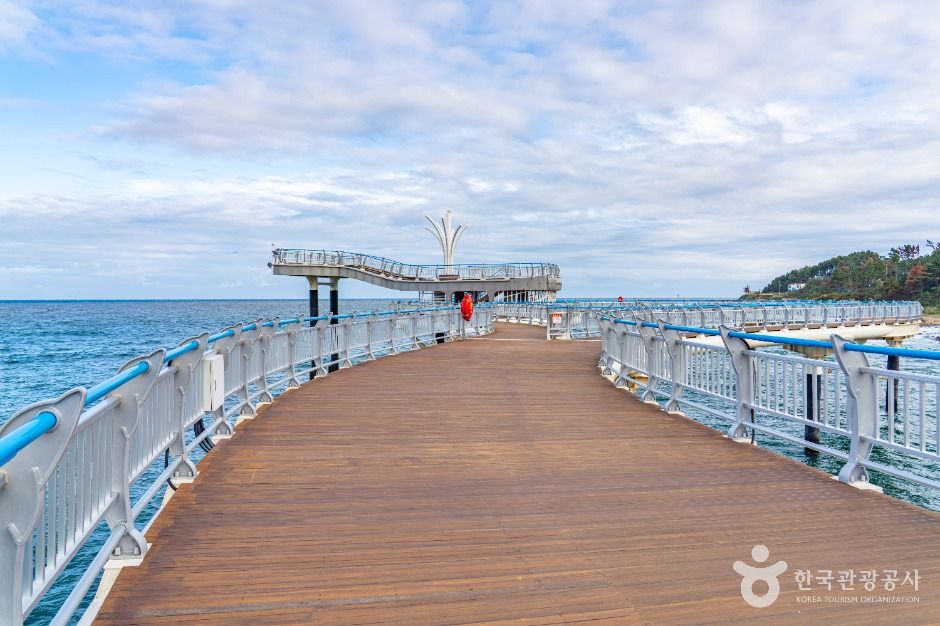 thumbnail-대진항(영덕)-4