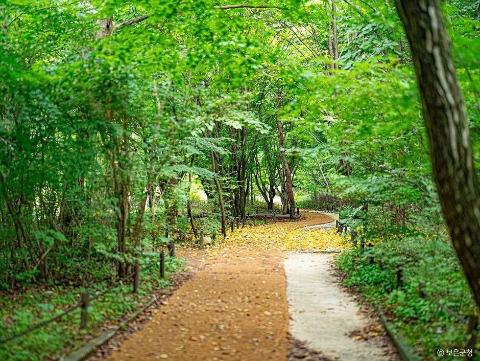 보은_세조길 (10)