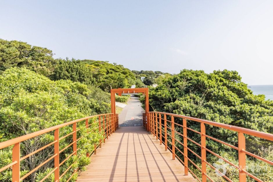 thumbnail-장사도해상공원 까멜리아-24