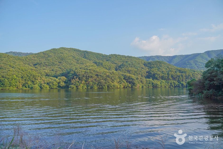 thumbnail-청룡지-9