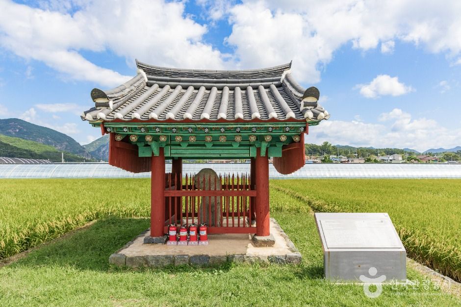 금산 천내리 용호석