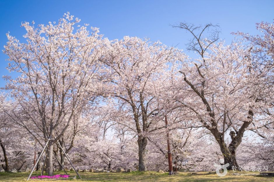 사천_사천선진리성 (3)