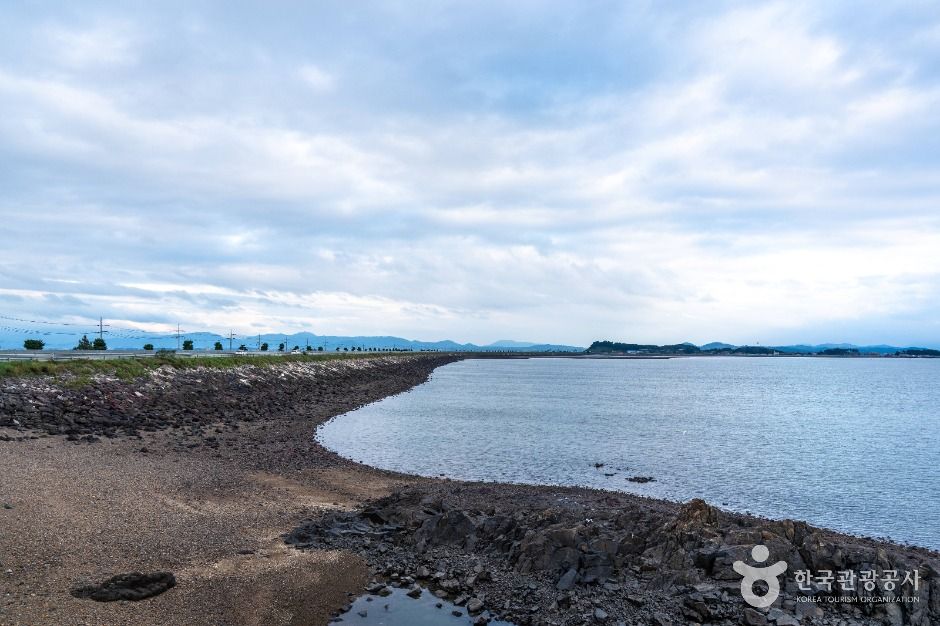 천수만(철새도래지)