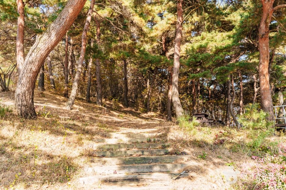 초정솔밭보리밥집카페