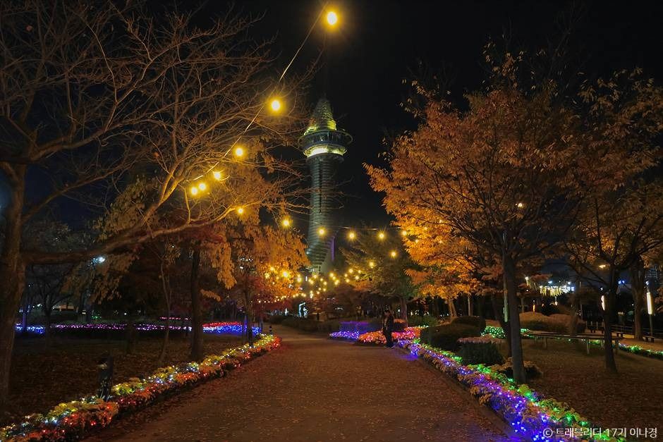 서울에서 강원도 속초 당일치기 여행 버스노선 뮤지엄엑스 아바이마을 맛집 수험생 할인_청초호 호수공원_4-4