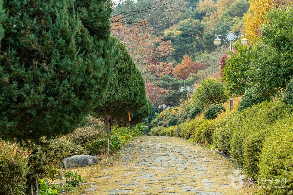 영광_백제불교최초도래지 (1)