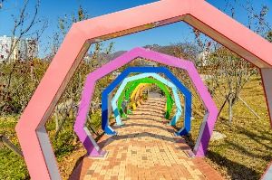 화순_남산공원(화순) (5)