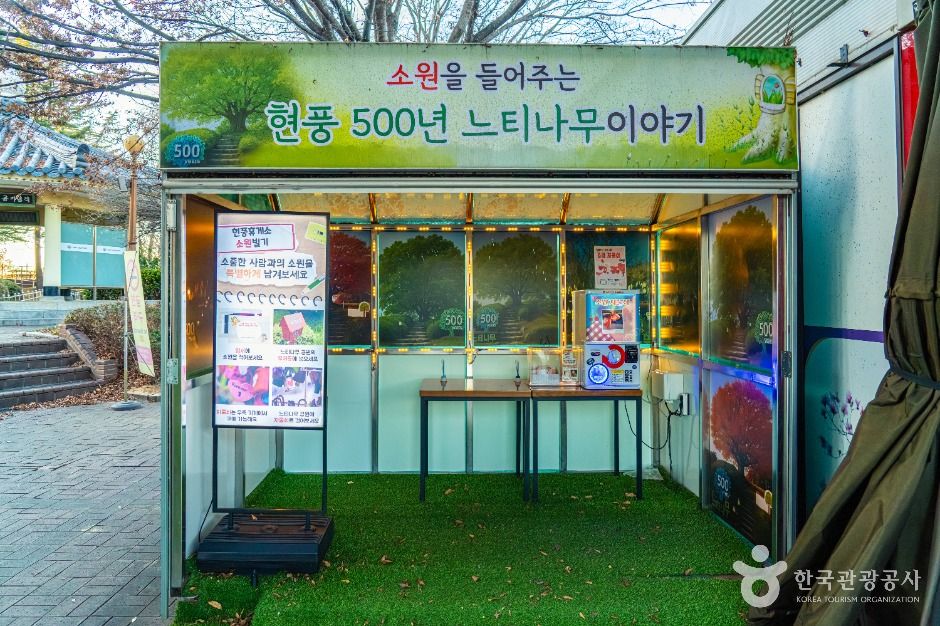 현풍 500년 느티나무 테마공원