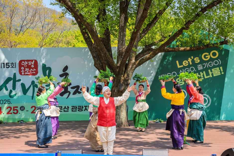 thumbnail-양평 용문산 산나물축제-8
