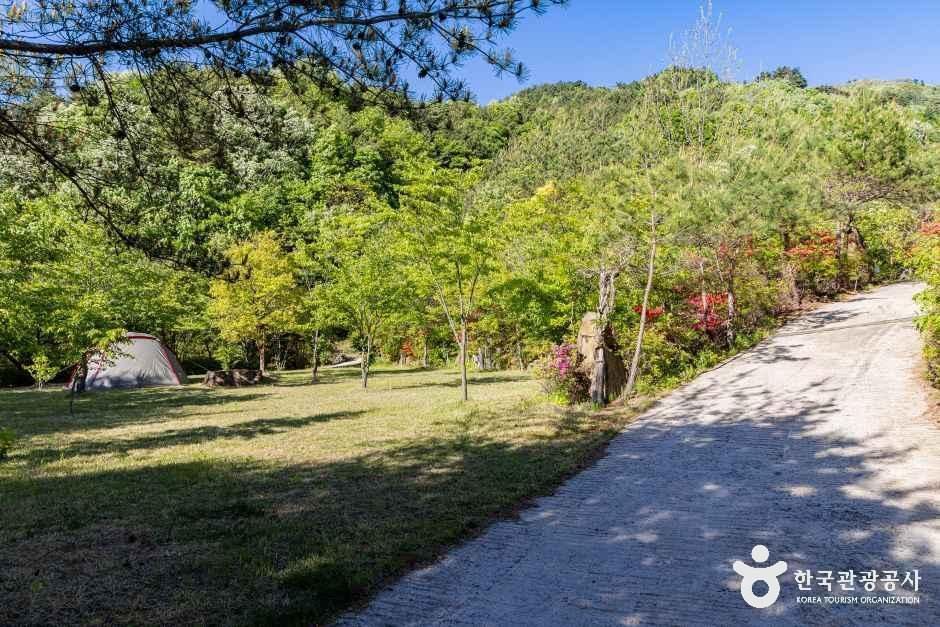 thumbnail-달자캠핑장-9