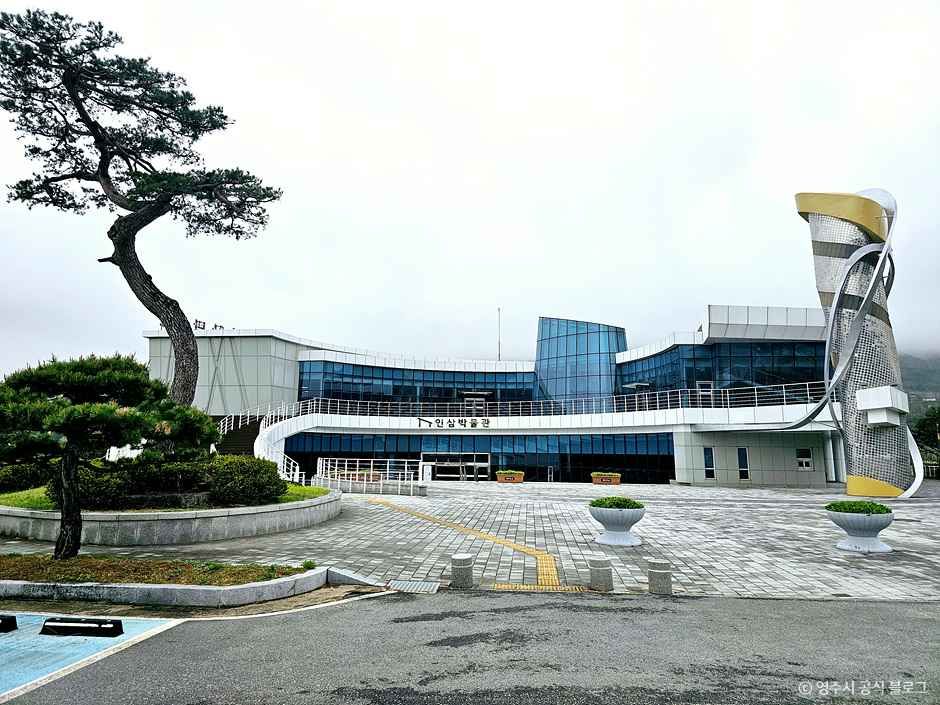인삼박물관