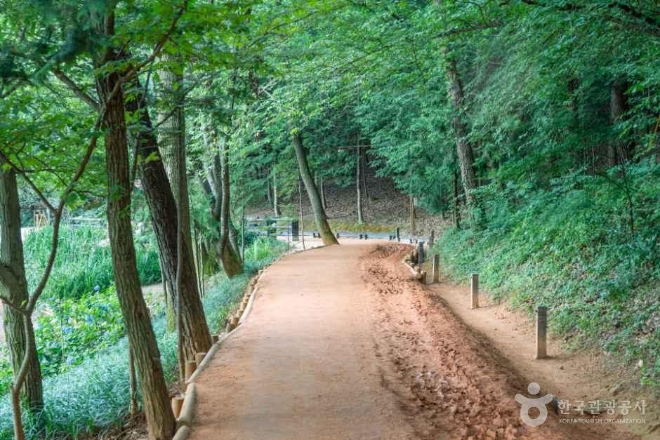 thumbnail-물무산 행복숲-3