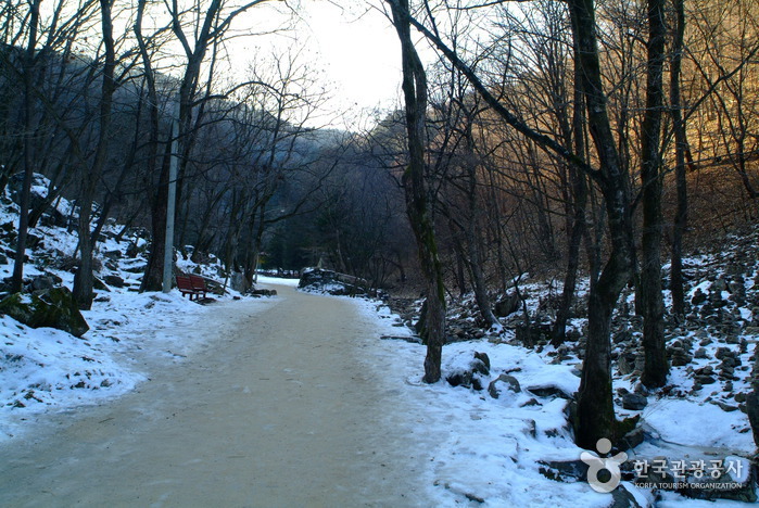 Gugok Falls (구곡폭포)