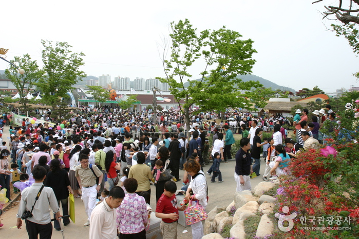 Hampyeong Butterfly Festival (함평 나비대축제) 