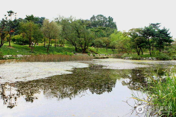 Mulhyanggi Arboretum (물향기수목원)