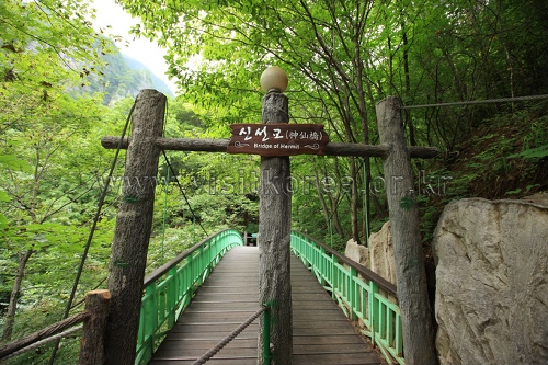 thumbnail-Hwanseongul Cave  (Daei-ri Cave System) (환선굴 (대이리 동굴지대))-18