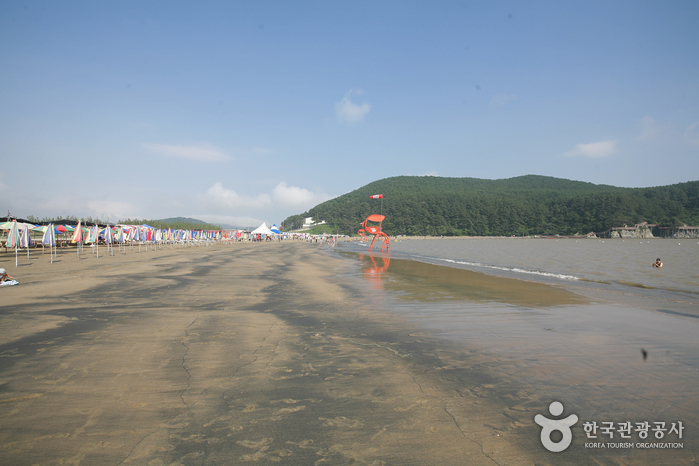 Dadaepo Beach (다대포해수욕장)
