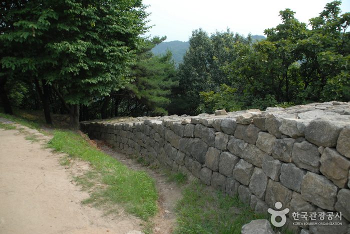 Bomunsan Forest Trail (보문산 행복 숲 둘레길)