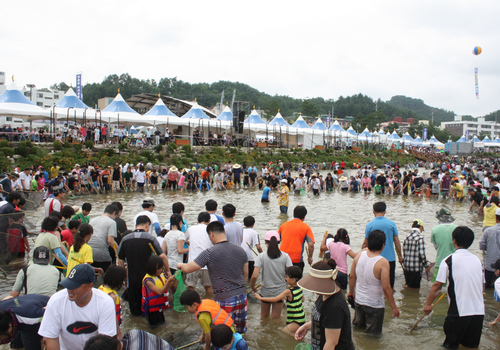봉화은어축제 2014