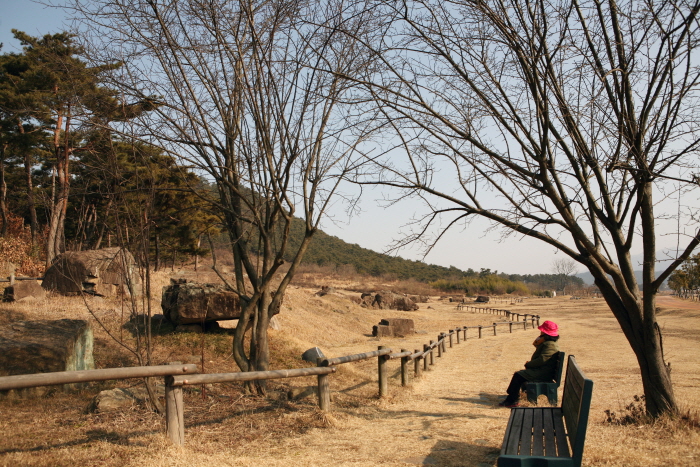 고창 고인돌 유적지 전경