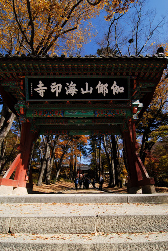 해인사(합천) 사진13