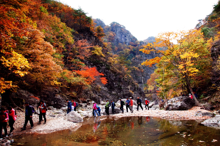 절골의 가을<사진제공-청송군청>