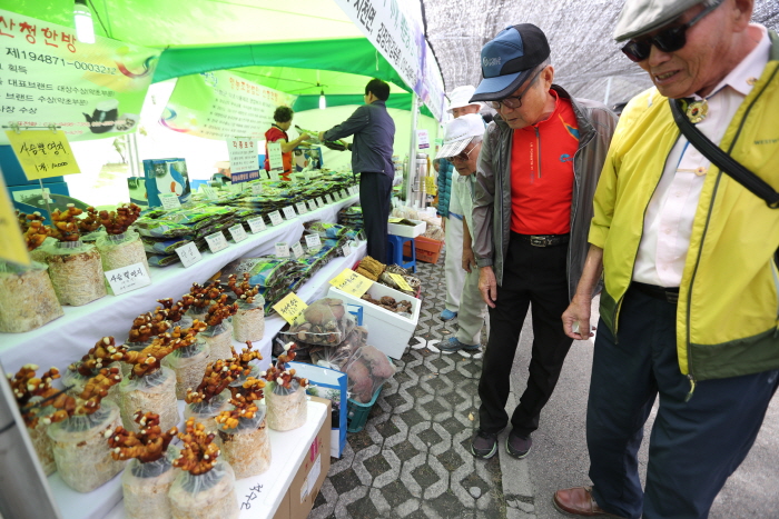 Festival des Herbes Médicinales de Sancheong (산청한방약초축제)