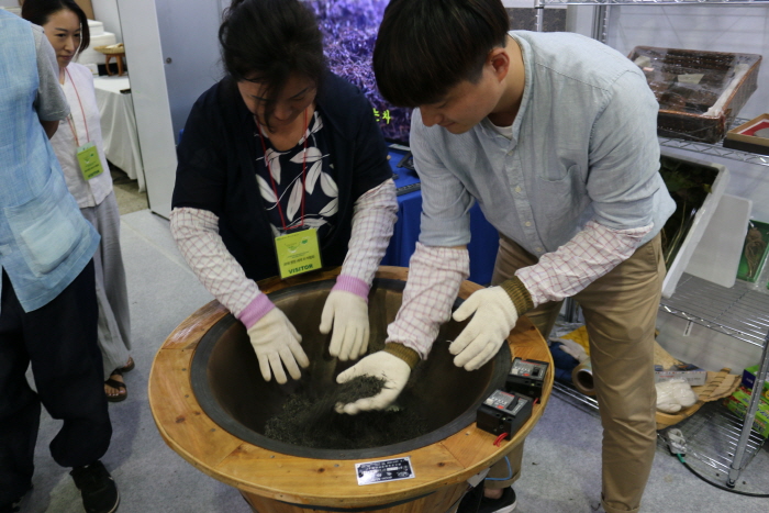 명원세계차박람회 20190