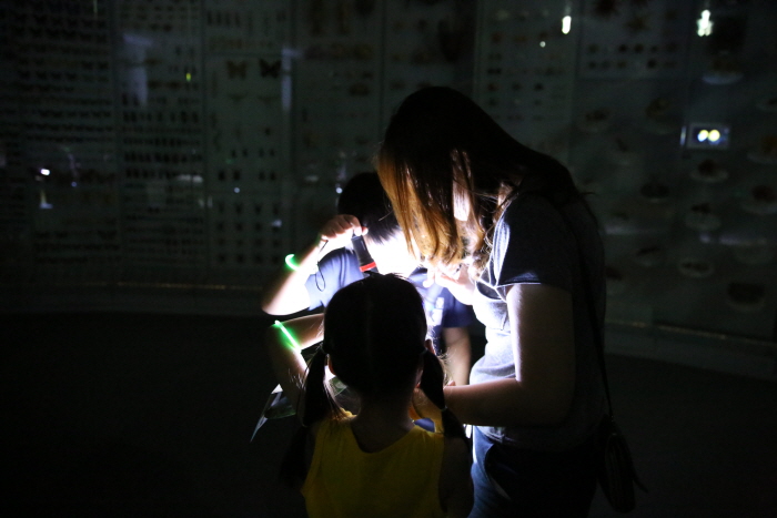 한여름밤의 축제 '자원관이 살아있다' 20192