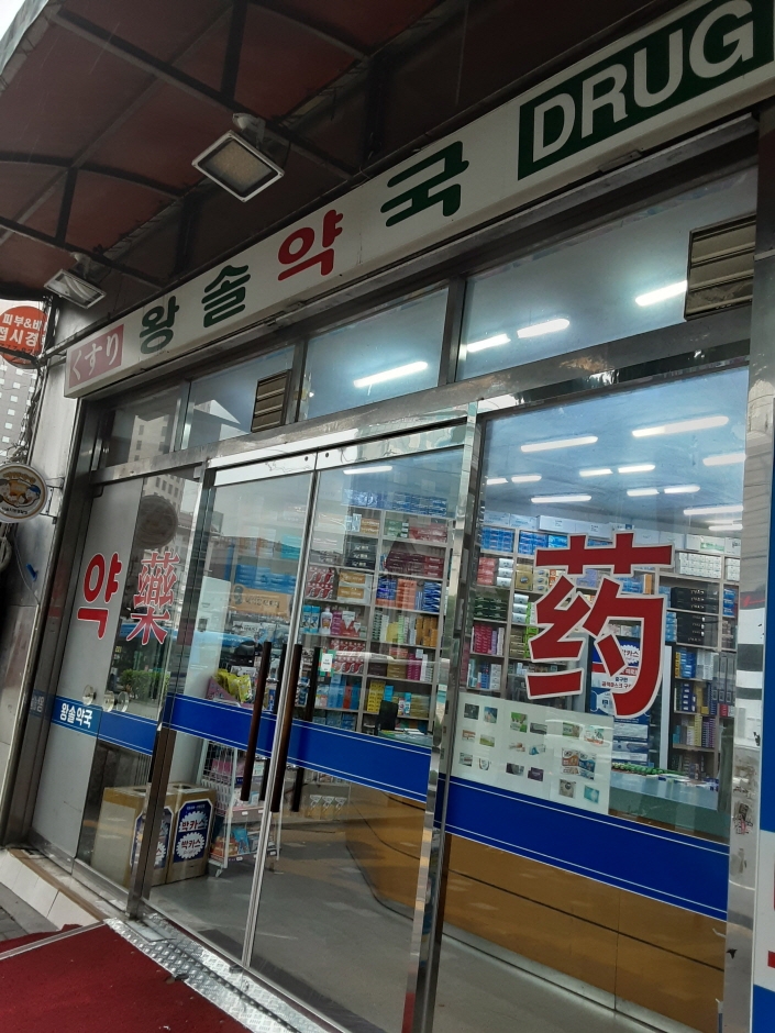 Wangsol Pharmacy [Tax Refund Shop] (왕솔약국)