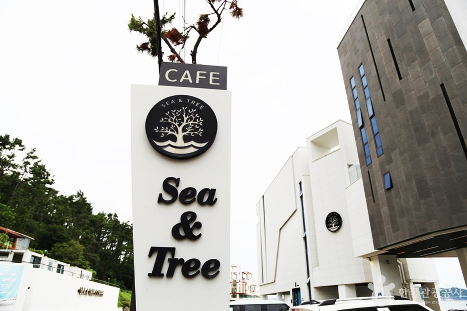 Sea & Tree 咖啡馆（씨앤트리 카페）