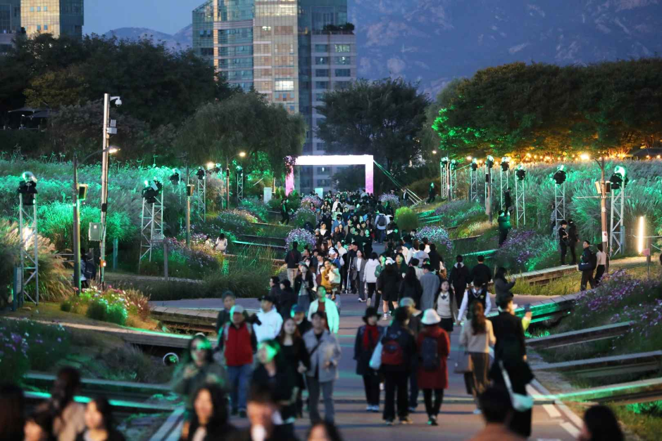 thumbnail-Seoul Silver Grass Festival (서울억새축제)-14