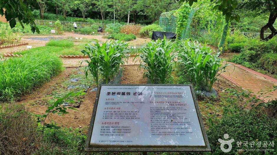 서울특별시교육청 융합과학교육원 (7)