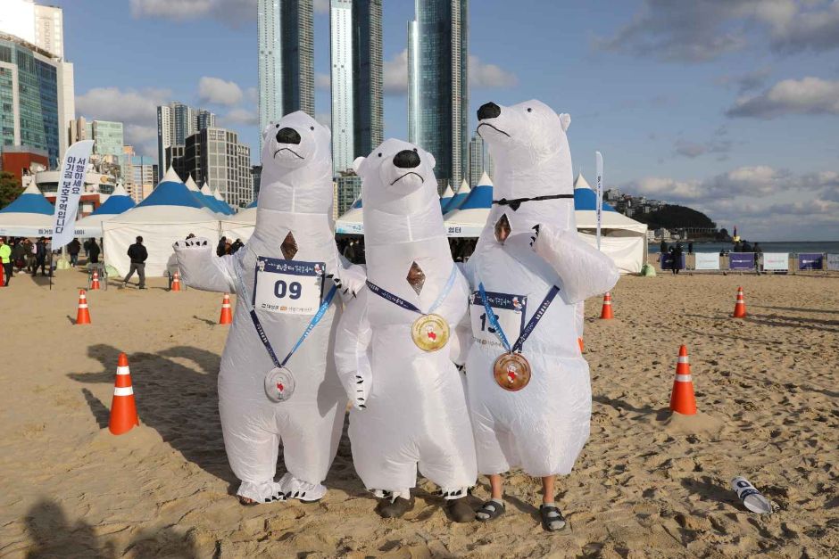 Festival del Oso Polar de Haeundae (해운대 북극곰 축제)