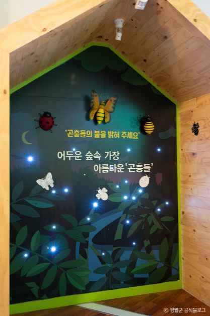 thumbnail-영월곤충박물관-21