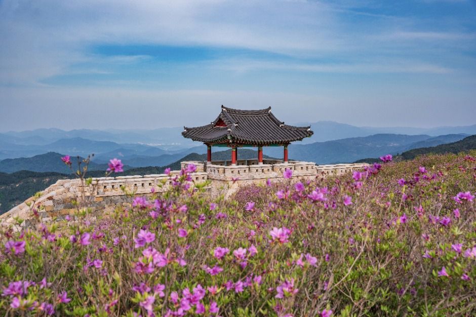 산청황매산철쭉제