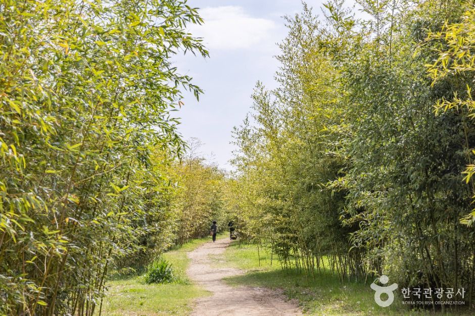 thumbnail-대저생태공원-23