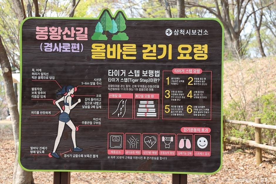 삼척_봉황산산림욕장 (1)