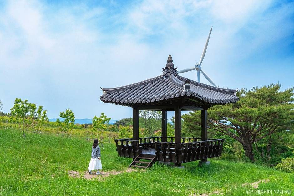 thumbnail-경주 풍력발전(바람의언덕)-13