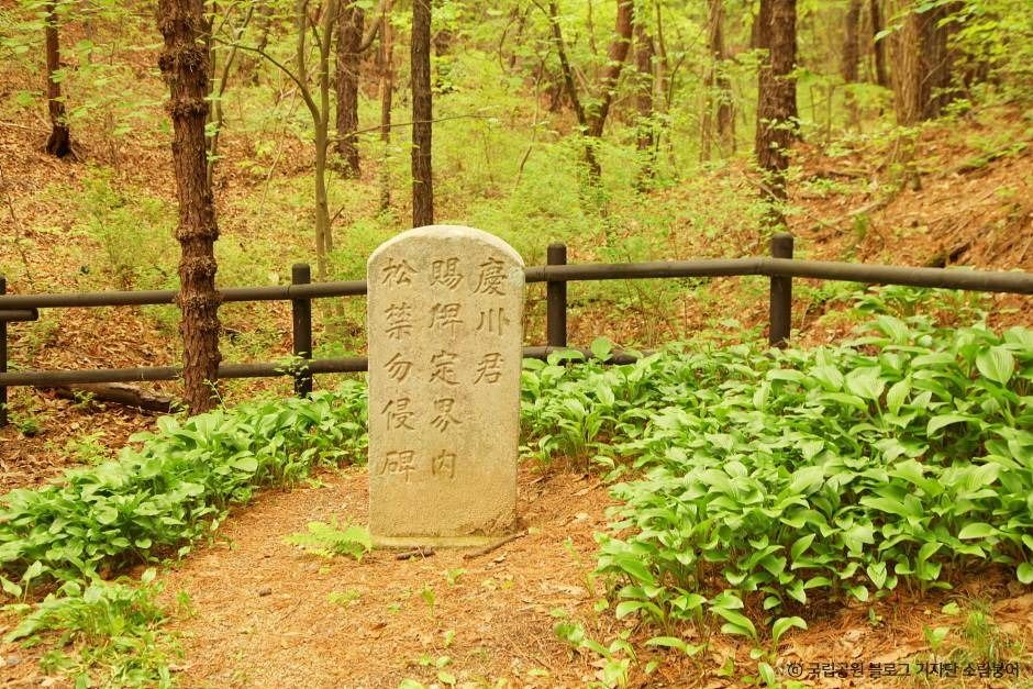 서울_[북한산 둘레길 10구간] 내시묘역길 (6)