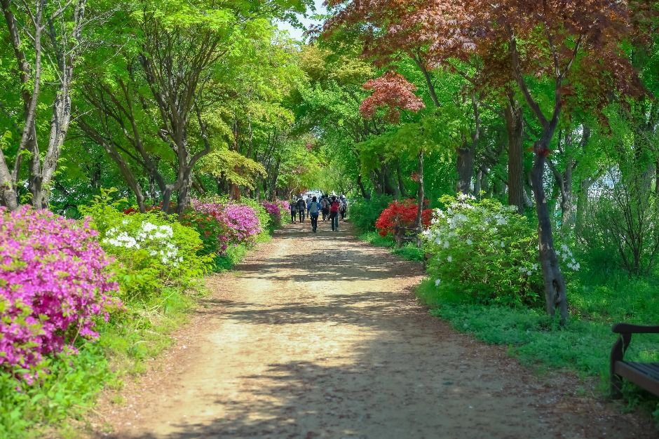 [서울둘레길 13코스] 안양천 상류코스